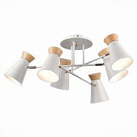 Купить Потолочная люстра Evoluce Alfeo SLE1252-502-06 в Туле