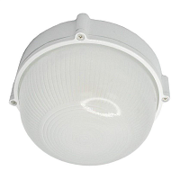 Купить Уличный светодиодный светильник Elvan NLS-2204 в Туле