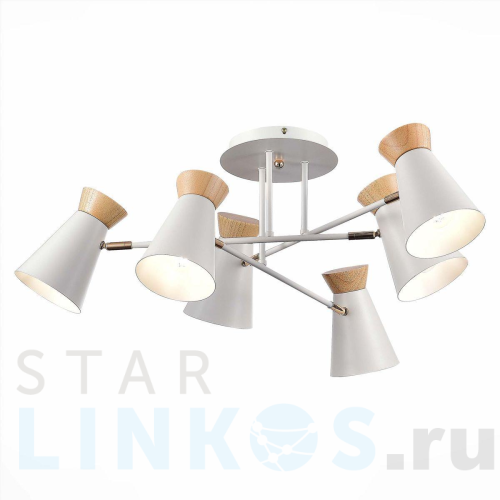 Купить Потолочная люстра Evoluce Alfeo SLE1252-502-06 за 9 190 руб. в Туле Купить с доставкой Потолочная люстра Evoluce Alfeo SLE1252-502-06 в Туле