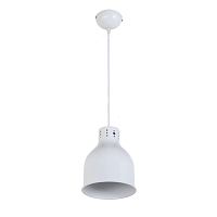 Купить Подвесной светильник Arti Lampadari Colata E 1.3.P1 W в Туле