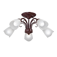 Купить Потолочная люстра Vitaluce V3878-7/5PL в Туле