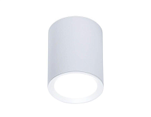 Купить Потолочный светильник Ambrella light Techno Spot TN215 в Туле