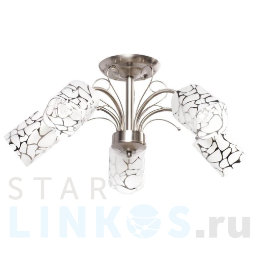 Купить Потолочная люстра MW-Light Олимпия 261019505 за 10 240 руб. в Туле Купить с доставкой Потолочная люстра MW-Light Олимпия 261019505 в Туле