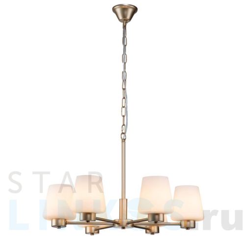 Купить Подвесная люстра Indigo Tulip 13004/6P Gold V000001 за 23 850 руб. в Туле Купить с доставкой Подвесная люстра Indigo Tulip 13004/6P Gold V000001 в Туле