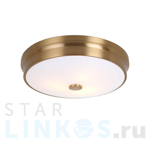 Купить с доставкой Потолочный светильник Favourite Pannikin 2375-3C в Туле