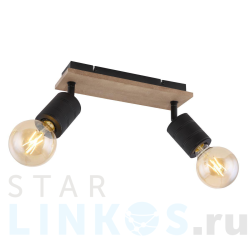 Купить с доставкой Спот Globo Josella 54033-2 в Туле