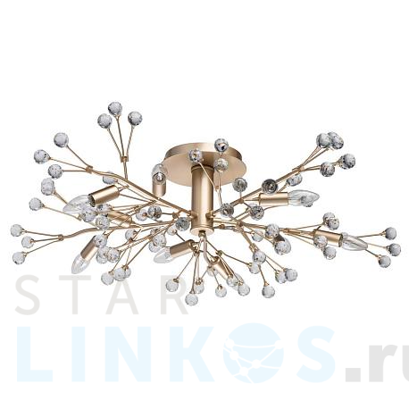 Купить Потолочная люстра MW-Light Адриатика 280011810 за 37 980 руб. в Туле фото 2 Купить с доставкой Потолочная люстра MW-Light Адриатика 280011810 в Туле фото 2