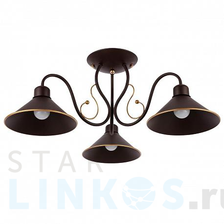 Купить Потолочная люстра Evoluce Ciolla SLE120402-03 за 5 690 руб. в Туле фото 2 Купить с доставкой Потолочная люстра Evoluce Ciolla SLE120402-03 в Туле фото 2