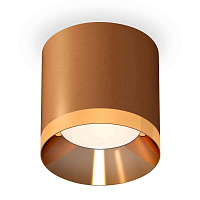 Купить Комплект накладного светильника Ambrella light Techno Spot XS7404010 SCF/PYG кофе песок/золото желтое полированное (C7404, N7034) в Туле