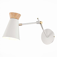 Купить Спот Evoluce Alfeo SLE1252-501-01 в Туле