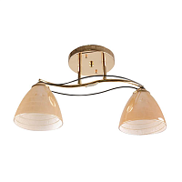 Купить Потолочная люстра Hiper Gabriella H011-2 в Туле