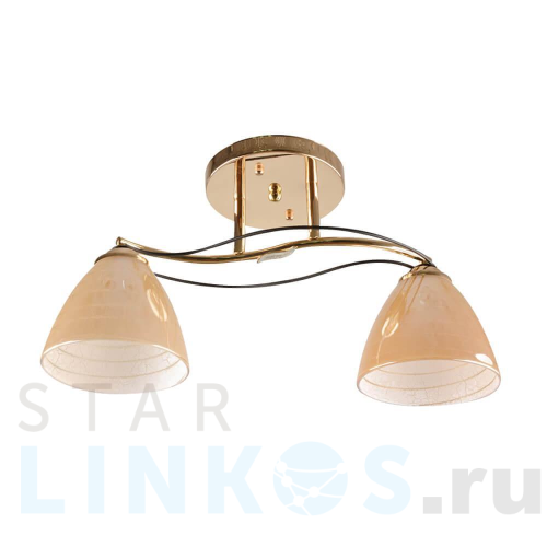 Купить с доставкой Потолочная люстра Hiper Gabriella H011-2 в Туле