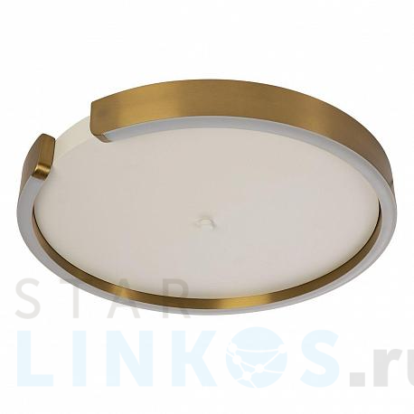 Купить Потолочный светодиодный светильник Loft IT Ring 10026 за 35 090 руб. в Туле фото 2 Купить с доставкой Потолочный светодиодный светильник Loft IT Ring 10026 в Туле фото 2