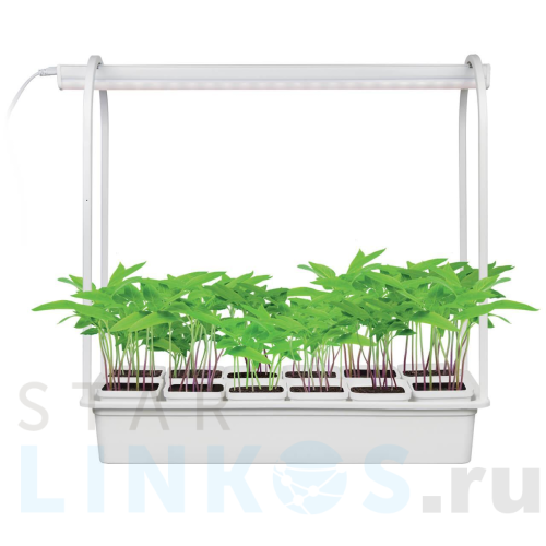 Купить с доставкой Светодиодный светильник для растений Uniel Minigarden ULT-P34-10W/SPBR IP20 White 12 UL-00007471 в Туле