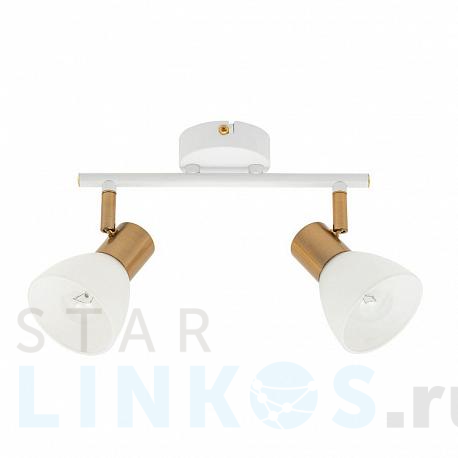 Купить Спот Arte Lamp Falena A3117PL-2WH за 2 390 руб. в Туле фото 2 Купить с доставкой Спот Arte Lamp Falena A3117PL-2WH в Туле фото 2