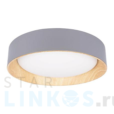 Купить Потолочный светодиодный светильник Loft IT Coin 10202 Grey за 10 600 руб. в Туле фото 2 Купить с доставкой Потолочный светодиодный светильник Loft IT Coin 10202 Grey в Туле фото 2