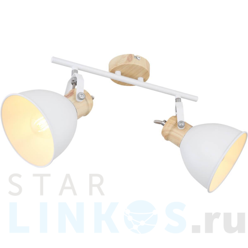 Купить Спот Globo Wiho 54018-2 за 11 940 руб. в Туле Купить с доставкой Спот Globo Wiho 54018-2 в Туле