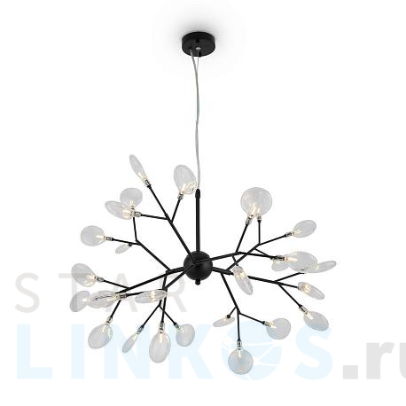 Купить Подвесная люстра Freya Florencia FR5049PL-27B за 22 990 руб. в Туле фото 2 Купить с доставкой Подвесная люстра Freya Florencia FR5049PL-27B в Туле фото 2