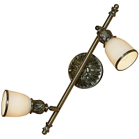 Купить Спот Lussole Furlo LSL-7301-02 в Туле