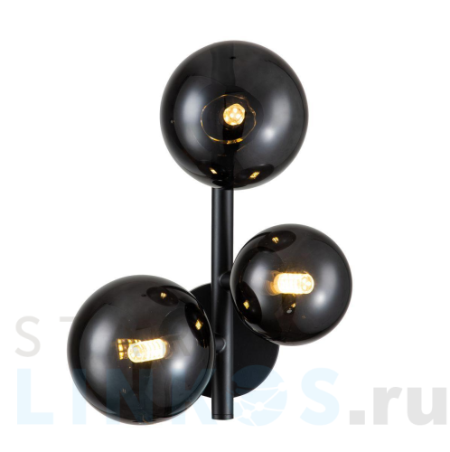 Купить Бра Indigo Molecola 11018/3W Black V000198 за 12 590 руб. в Туле Купить с доставкой Бра Indigo Molecola 11018/3W Black V000198 в Туле