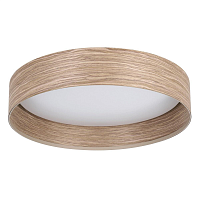 Купить Потолочный светодиодный светильник Eglo Luppineria 900463 в Туле