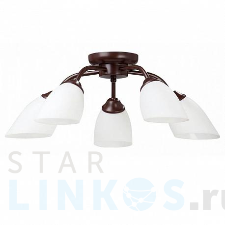 Купить Потолочная люстра Vitaluce V3252/5PL за 3 886 руб. в Туле фото 2 Купить с доставкой Потолочная люстра Vitaluce V3252/5PL в Туле фото 2