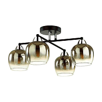 Купить Потолочная люстра Lumion Moderni Desiree 5224/4C в Туле