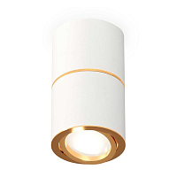 Купить Комплект потолочного светильника Ambrella light Techno Spot XS (C7401, A2072, C7401, N7004) XS7401200 в Туле