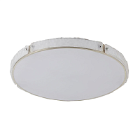 Купить Потолочный светодиодный светильник De Markt Ривз 674017701 в Туле