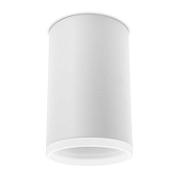 Купить Потолочный светильник Ambrella light Techno Spot TN336 в Туле