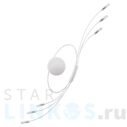 Купить Бра Lightstar Ovale 784666 за 4 699 руб. в Туле Купить с доставкой Бра Lightstar Ovale 784666 в Туле