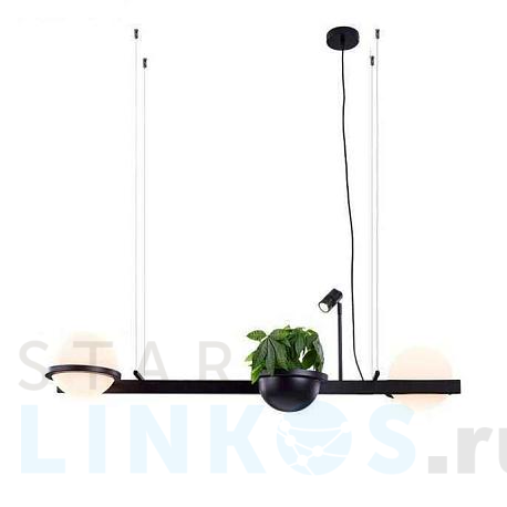 Купить Подвесной светильник Imperium Loft Palma 204172-22 за 32 120 руб. в Туле фото 2 Купить с доставкой Подвесной светильник Imperium Loft Palma 204172-22 в Туле фото 2