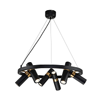 Купить Подвесная люстра Favourite Light Point 2997-6P в Туле