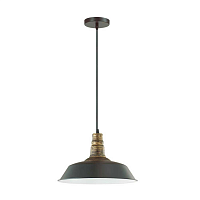 Купить Подвесной светильник Lumion Suspentioni Stig 3677/1 в Туле