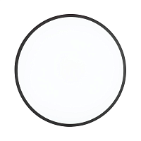 Купить Настенно-потолочный светильник Sonex Tan Smalli 3012/DL в Туле