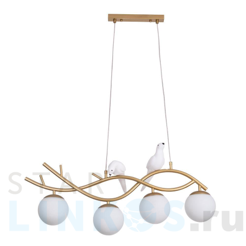 Купить Подвесная люстра Arte Lamp Eltanin A3422SP-4GO за 15 990 руб. в Туле Купить с доставкой Подвесная люстра Arte Lamp Eltanin A3422SP-4GO в Туле