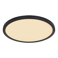 Купить Потолочный светодиодный светильник Globo Sapana 41562-24B в Туле