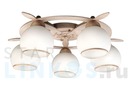 Купить Потолочная люстра Omnilux OML-50517-05 за 10 380 руб. в Туле Купить с доставкой Потолочная люстра Omnilux OML-50517-05 в Туле