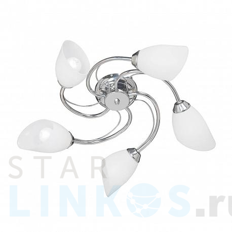 Купить Потолочная люстра Vitaluce V3236/5PL за 5 174 руб. в Туле фото 2 Купить с доставкой Потолочная люстра Vitaluce V3236/5PL в Туле фото 2