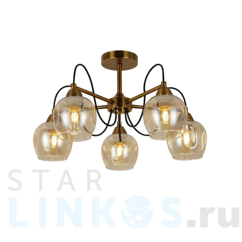 Купить Потолочная люстра Evoluce Acro SLE110002-05 за 10 560 руб. в Туле Купить с доставкой Потолочная люстра Evoluce Acro SLE110002-05 в Туле