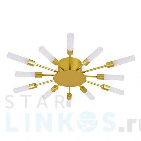 Купить Потолочная люстра Arte Lamp Maple A1276PL-12GO за 3 310 руб. в Туле фото 2 Купить с доставкой Потолочная люстра Arte Lamp Maple A1276PL-12GO в Туле фото 2