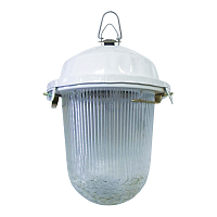 Купить Уличный подвесной светильник TDM Electric НСП 02-100-001.01 SQ0310-0009 в Туле