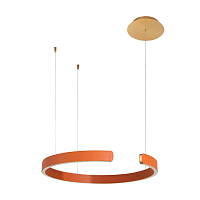 Купить Подвесной светодиодный светильник Loft IT Ring 10025/400 Orange в Туле