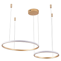 Купить Подвесной светильник Zortes RINGOLIGHT ZRS.33320.63F в Туле