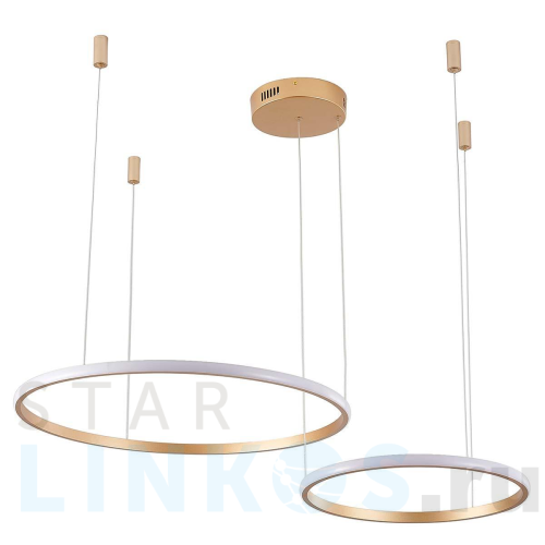 Купить Подвесной светильник Zortes RINGOLIGHT ZRS.33320.63F за 19 800 руб. в Туле Купить с доставкой Подвесной светильник Zortes RINGOLIGHT ZRS.33320.63F в Туле