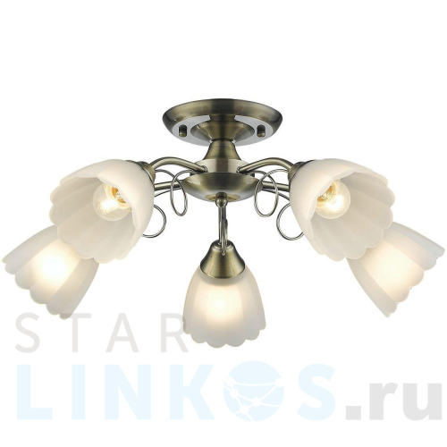 Купить Потолочная люстра Velante 708-507-05 за 5 316 руб. в Туле Купить с доставкой Потолочная люстра Velante 708-507-05 в Туле