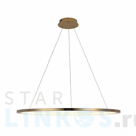 Купить Подвесной светодиодный светильник Loft IT Ring 10014XL за 30 050 руб. в Туле фото 2 Купить с доставкой Подвесной светодиодный светильник Loft IT Ring 10014XL в Туле фото 2