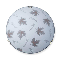 Купить Настенно-потолочный светильник Vitaluce V6285/2A в Туле