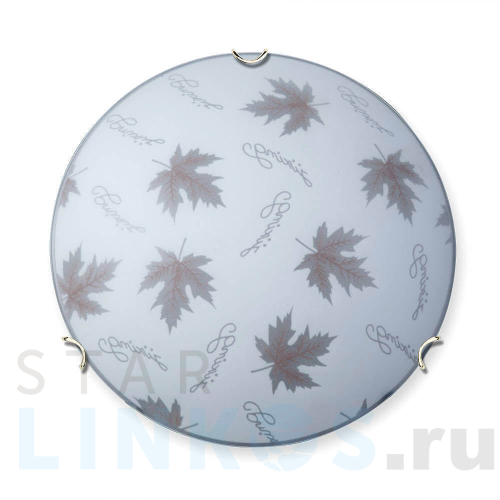 Купить с доставкой Настенно-потолочный светильник Vitaluce V6285/2A в Туле