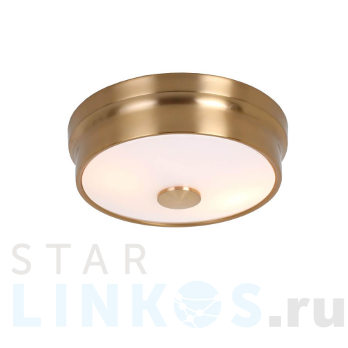 Купить Потолочный светильник Favourite Pannikin 2375-2C за 10 900 руб. в Туле Купить с доставкой Потолочный светильник Favourite Pannikin 2375-2C в Туле
